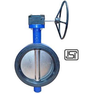 Butterfly Valve PN 16 ( Gear Operated) LIV-BFV-CI-SGI-004