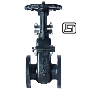 DI Gate Valve Rising F/ELIV-SLV-DI-P3-002