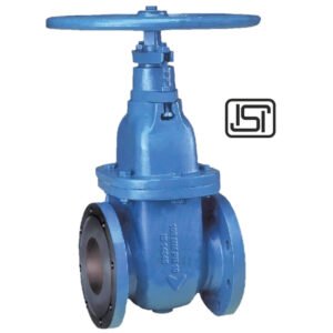 DI Gate Valve Non-Rising F/E LIV-SLV-DI-P3-001