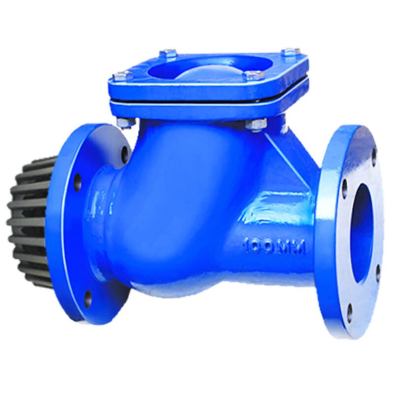 Cast Iron Ball Type Foot Valve